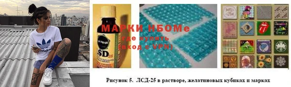хмурый Арсеньев