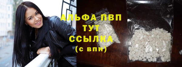 хмурый Арсеньев