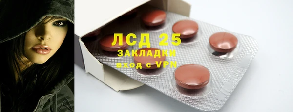 хмурый Арсеньев