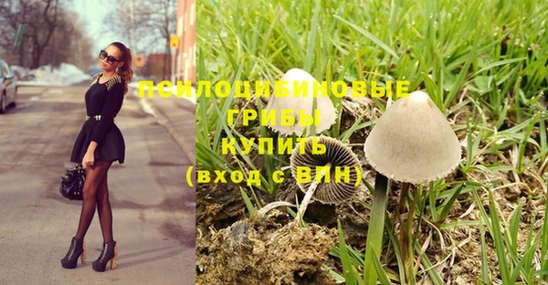 дурь Аркадак